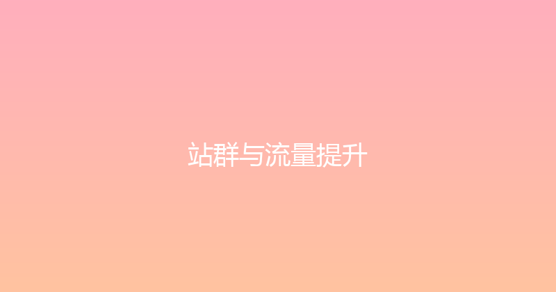 站群与流量提升 封面图